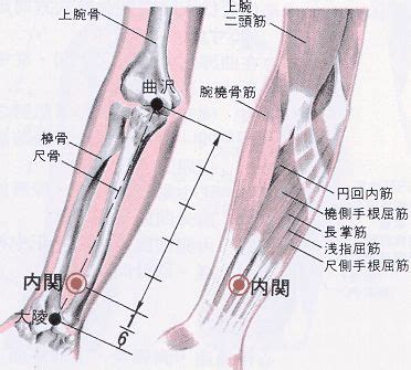 關位源|醫砭 » 經穴庫 » 關元